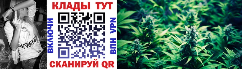 Где найти наркотики Бавлы A-PVP  ссылка на мегу сайт  Псилоцибиновые грибы  COCAIN  Гашиш  Мефедрон 