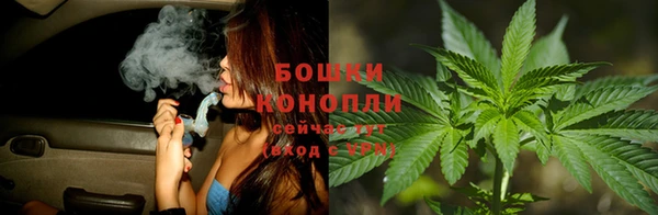 каннабис Алзамай