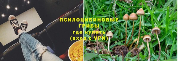 каннабис Алзамай